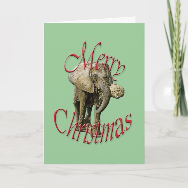 Christmas Elephant Greeting Card (Front)