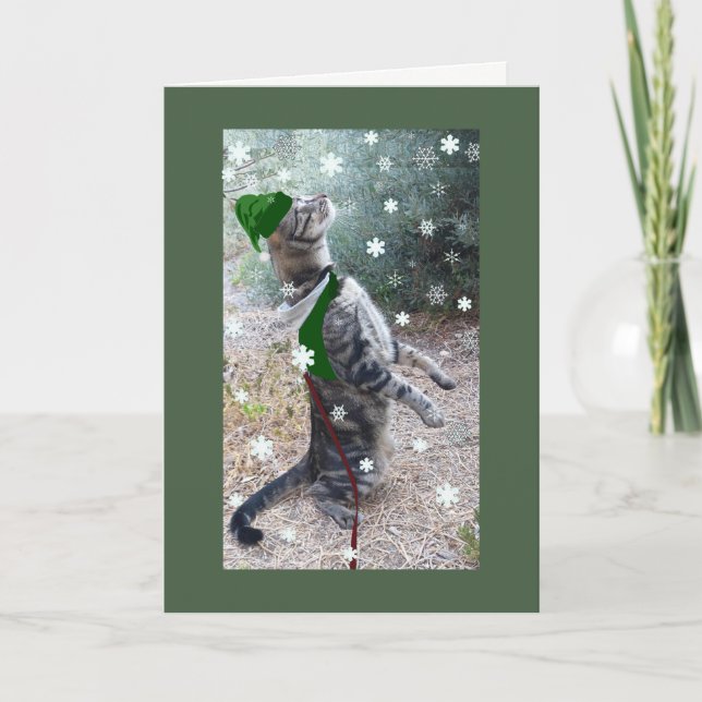 Christmas Elf Tabby Cat Holiday Card (Front)