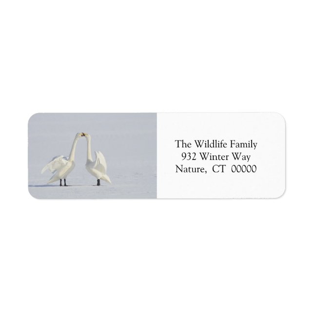 Christmas Envelope Self Adhesive Stickers (Front)