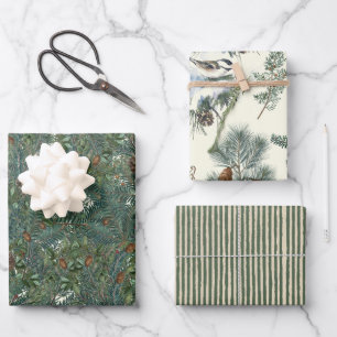 Christmas Evergreen Branches Pinecone Bird Stripe  Wrapping Paper Sheet