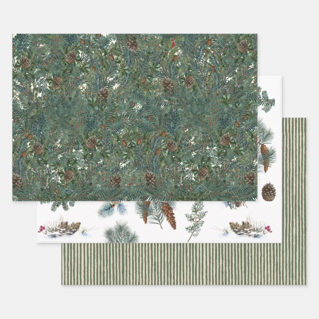 Christmas Evergreen Branches Pinecone Bird Stripe  Wrapping Paper Sheet (Set)