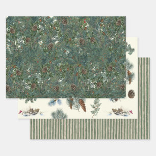 Christmas Evergreen Branches Pinecone Bird Stripe Wrapping Paper Sheet