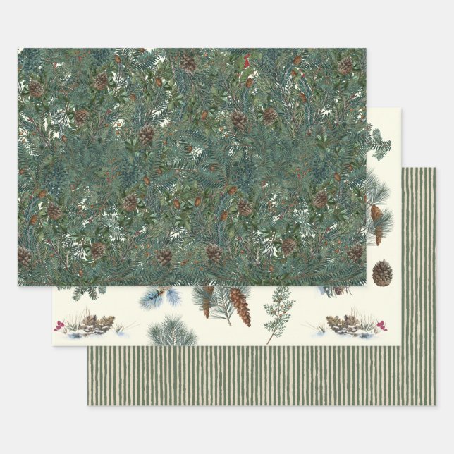 Christmas Evergreen Branches Pinecone Bird Stripe  Wrapping Paper Sheet (Set)