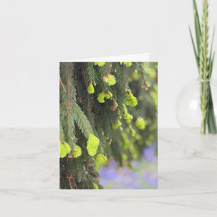 Christmas Evergreen Pine Tree Snow Winter Card
