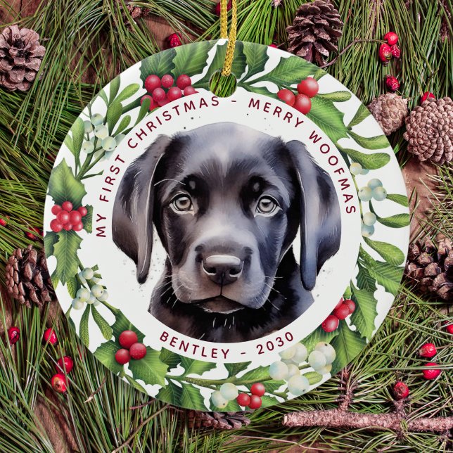 Christmas Face Mask Santa Dog 2020 Pandemic Ceramic Ornament (Creator Uploaded)
