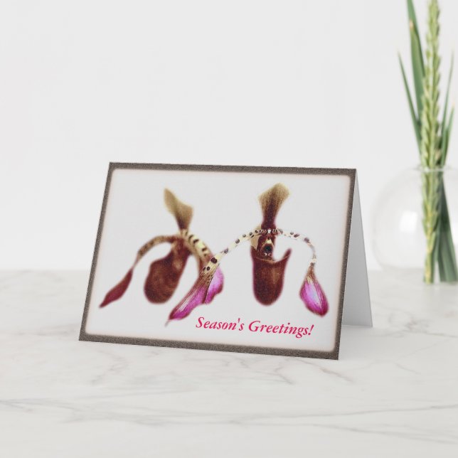Christmas Flower Orchid Holiday Card (Front)