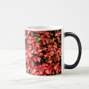 Christmas flower "Poinsettia" Magic Mug
