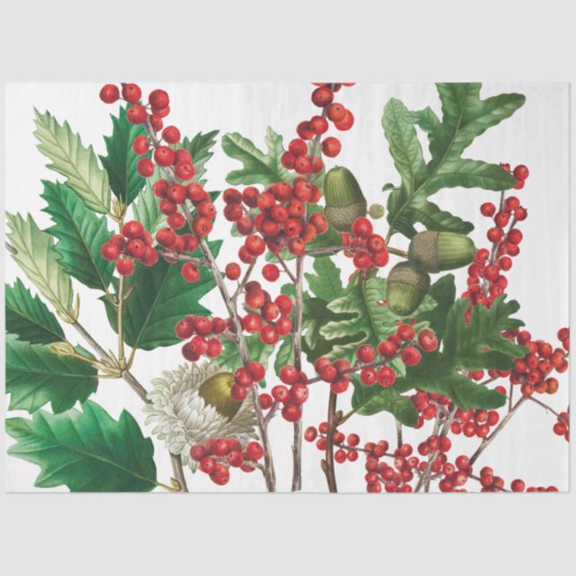 Christmas Forest Festive Berries Acorn Evergreen  Tissue Paper (Front)