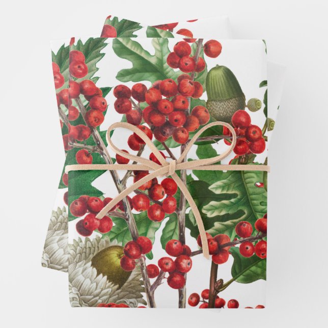 Christmas Forest Festive Berries Acorn Evergreen  Wrapping Paper Sheet (In situ)