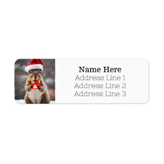 Christmas Fox Squirel Santa Hat Adresse de retour