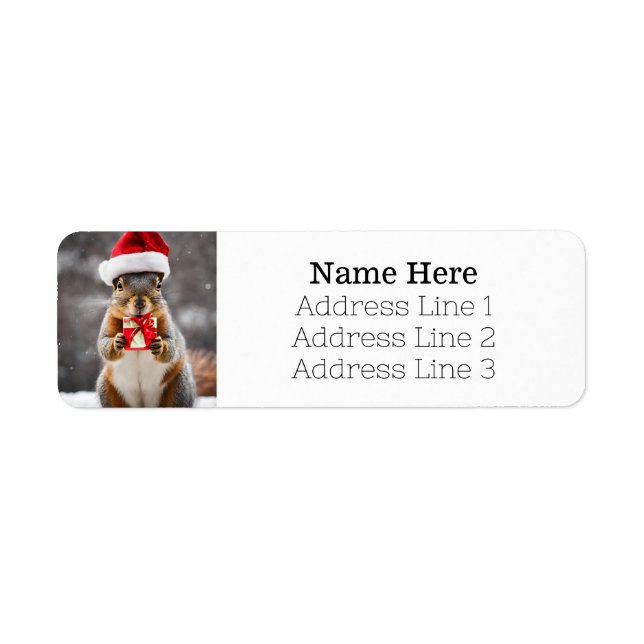 Christmas Fox Squirrel Santa Hat Return Address (Front)