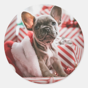 Christmas French Bull Dog - Frenchie Classic Round Sticker