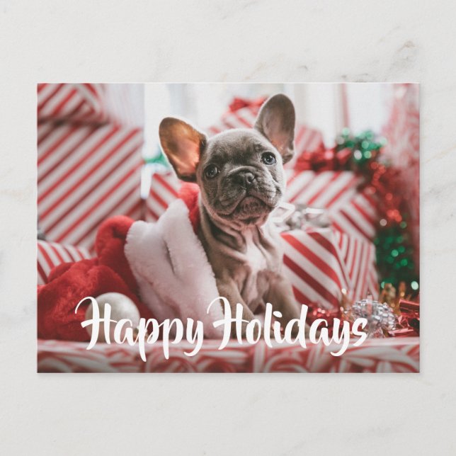 Christmas French Bulldog among Christmas Presents Holiday Postcard (Front)