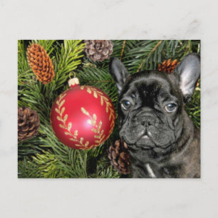 Christmas French Bulldog Holiday Postcard
