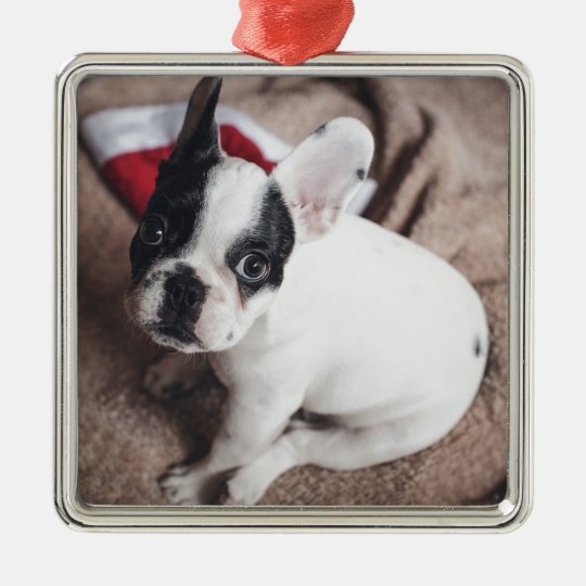 Christmas Frenchie Metal Ornament