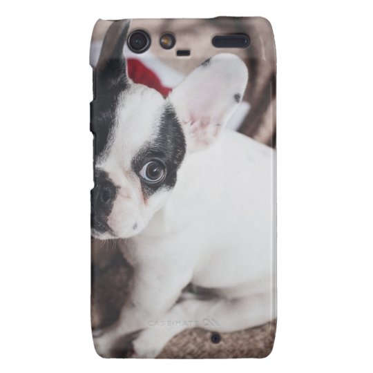Christmas Frenchie Motorola Droid RAZR Cover