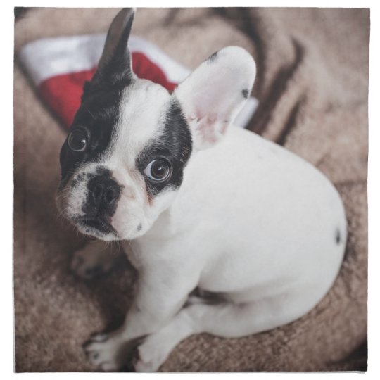 Christmas Frenchie Napkin