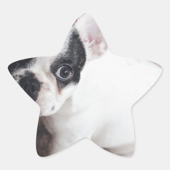 Christmas Frenchie Star Sticker