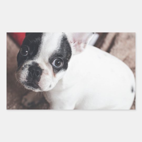 Christmas Frenchie Sticker