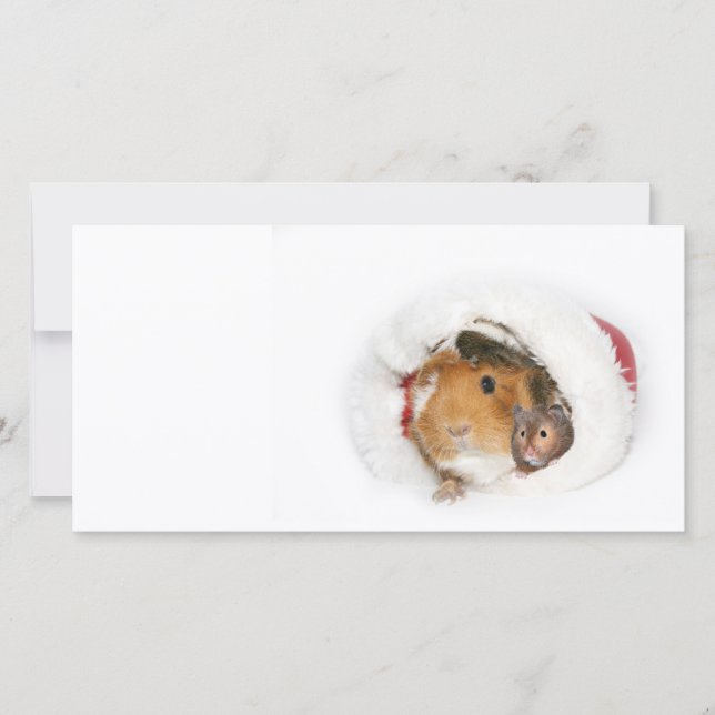 Christmas friends holiday card (Front)