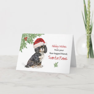 Christmas From Cavalier King Charles Spaniel Dog Card