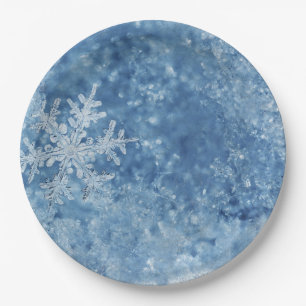 Christmas frozen snowflakes paper plate