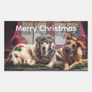 Christmas Fun 3 Dogs Dressed for Season Sticker