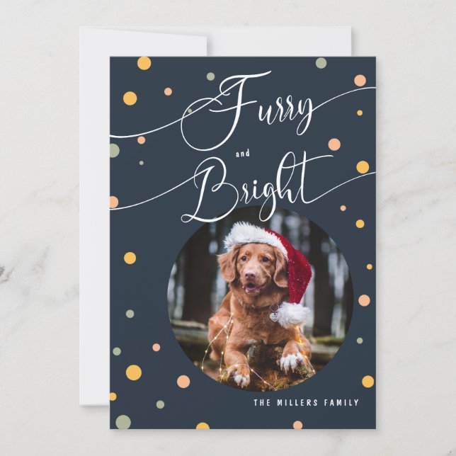Christmas Funny Furry and Bright Pet annual2 Photo Holiday Card (Front)