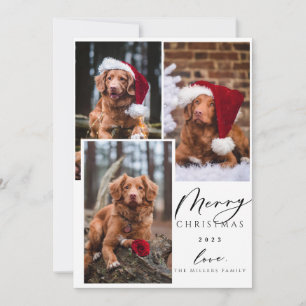 Christmas Funny Pet Merry Christmas 3 Photo Holida Holiday Card
