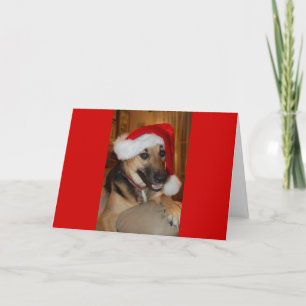 Christmas German Shepherd Holiday Card