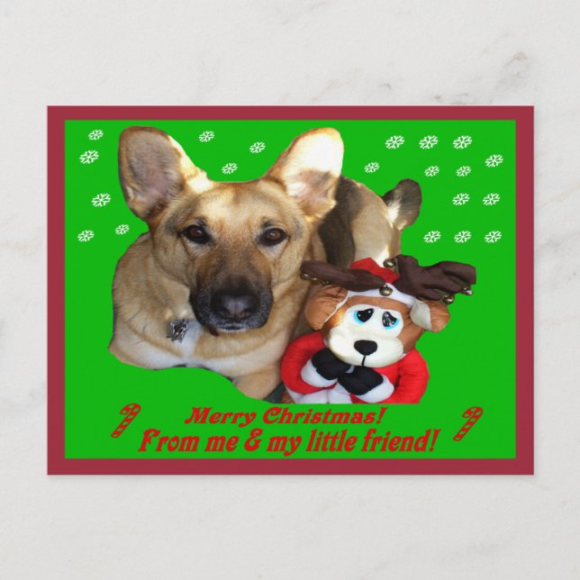 Christmas German Shepherd & Toy Reindeer Holiday Postcard (Front)