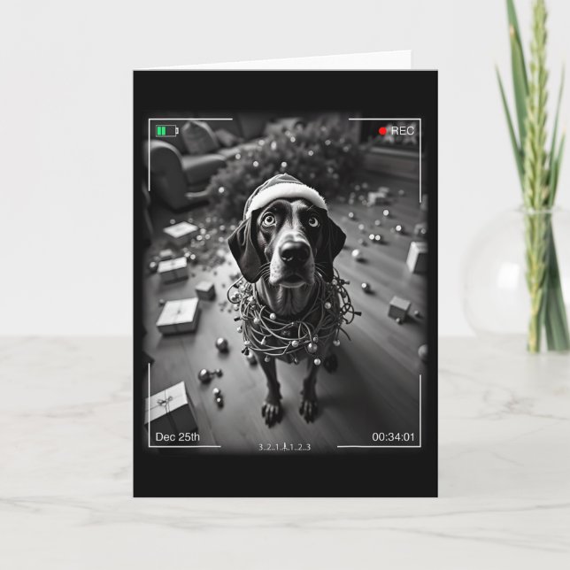 Christmas German Shorthaired Pointer Caught On Cam Card (Front)