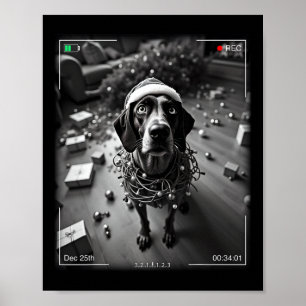 Christmas German Shorthaired Pointer Caught On Cam Poster