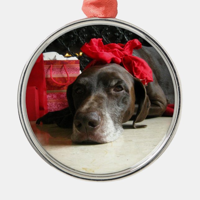 Christmas german shorthaired pointer metal ornament (Front)