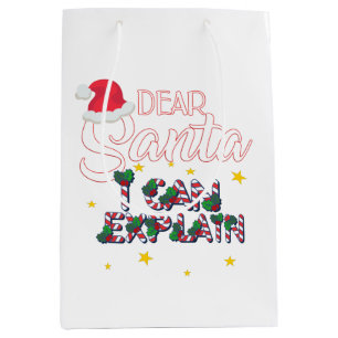 Christmas Gift Bag