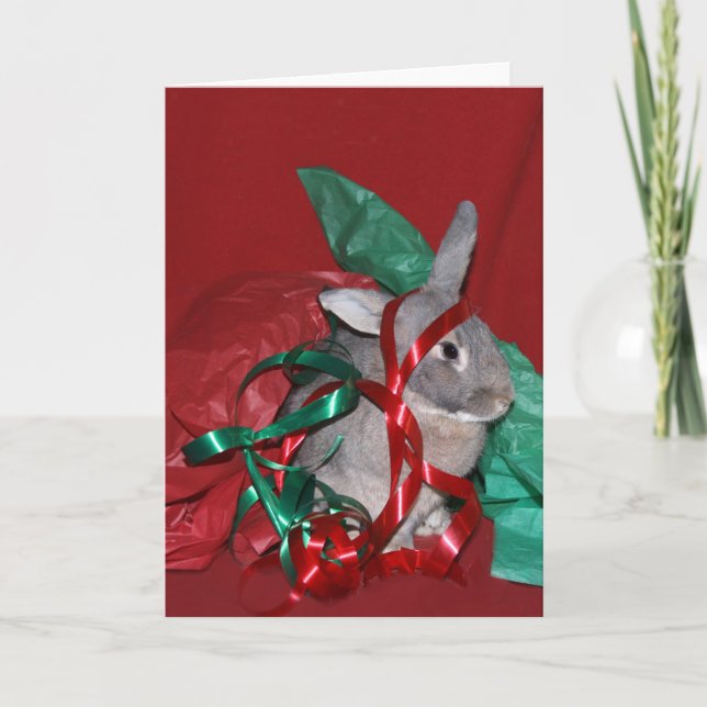 Christmas gift wrap frustration holiday card (Front)