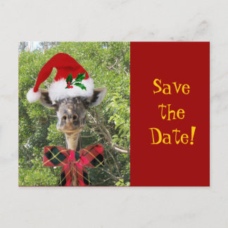 Christmas Giraffe Announcement Postcard