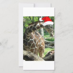 Christmas Giraffe Holiday Card