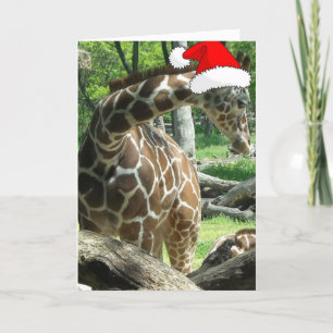 Christmas Giraffe Holiday Card