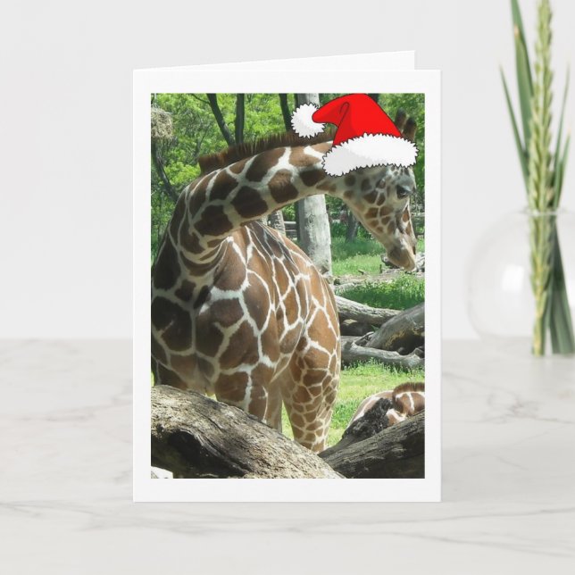 Christmas Giraffe Holiday Card (Front)