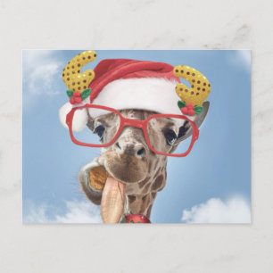 Christmas giraffe postcard