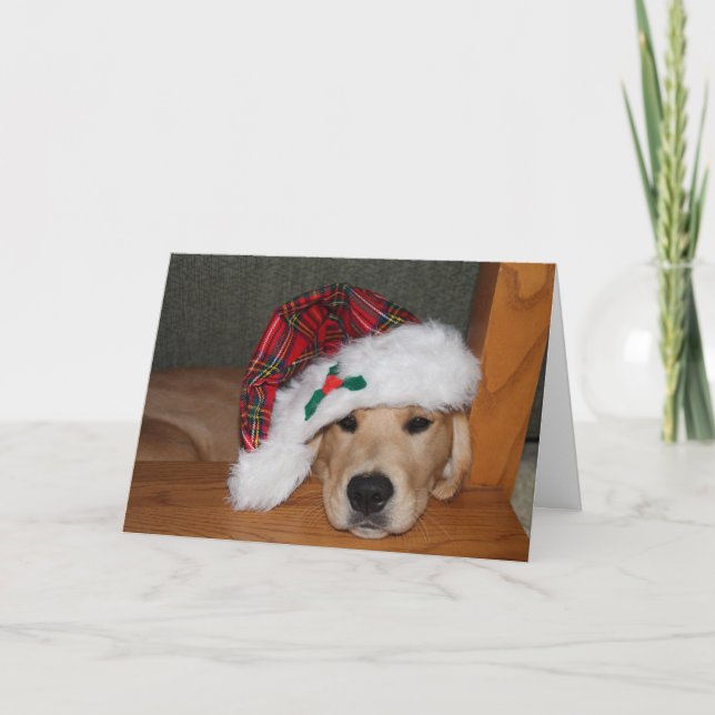 Christmas Golden Puppy in Hat Holiday Card (Front)