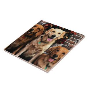 Christmas Golden Retriever Packer Bella Darby #50 Tile