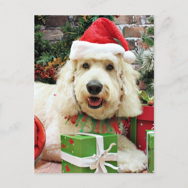 Christmas - GoldenDoodle - Peyton Holiday Postcard (Front)