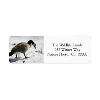 Christmas Goose Holiday Return Address Stickers