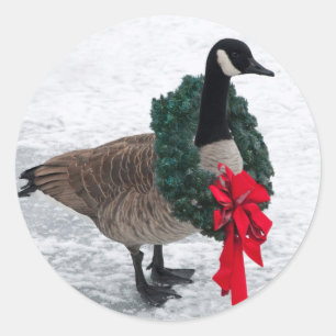 Christmas Goose stickers