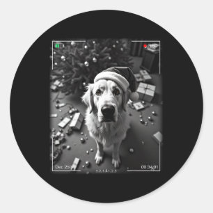 Christmas Great Pyrenees Caught On Camera  Classic Round Sticker