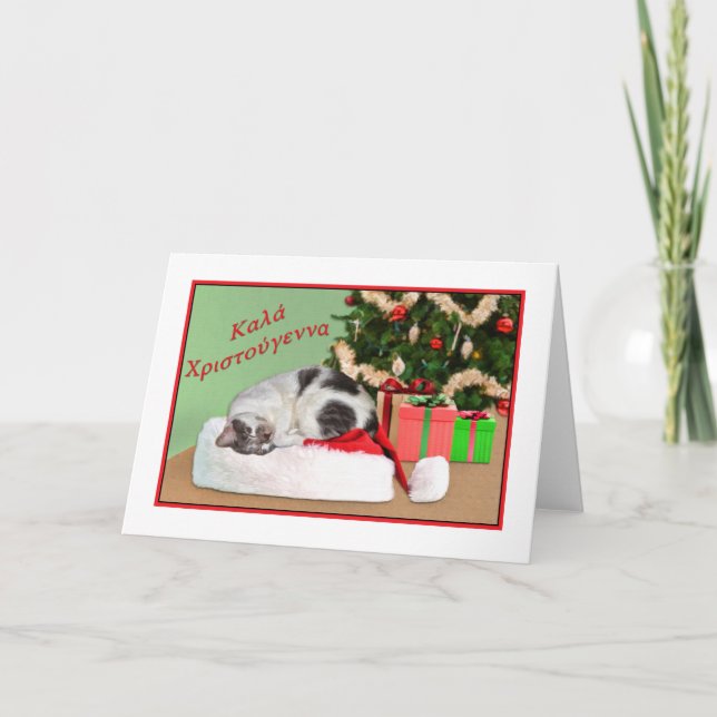 Christmas, Greek, Sleeping Cat in Santa Hat Holiday Card (Front)