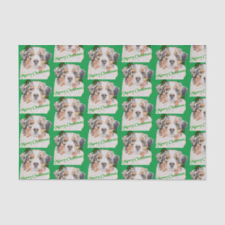 Christmas Green Realistic Australian Shepherd Tissue Paper