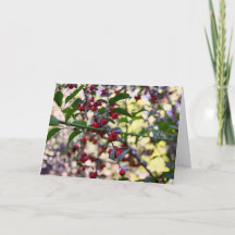 Christmas Greeting Card